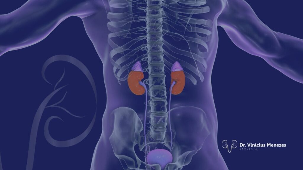 Tumores da Adrenal-Sintomas e Tratamento